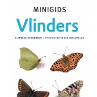 Image pour Guides nature - Papillons aux Pays-Bas et en Belgique