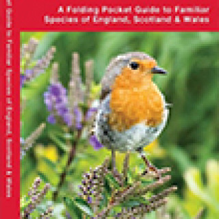 Image pour Guide des oiseaux en Grande-Bretagne