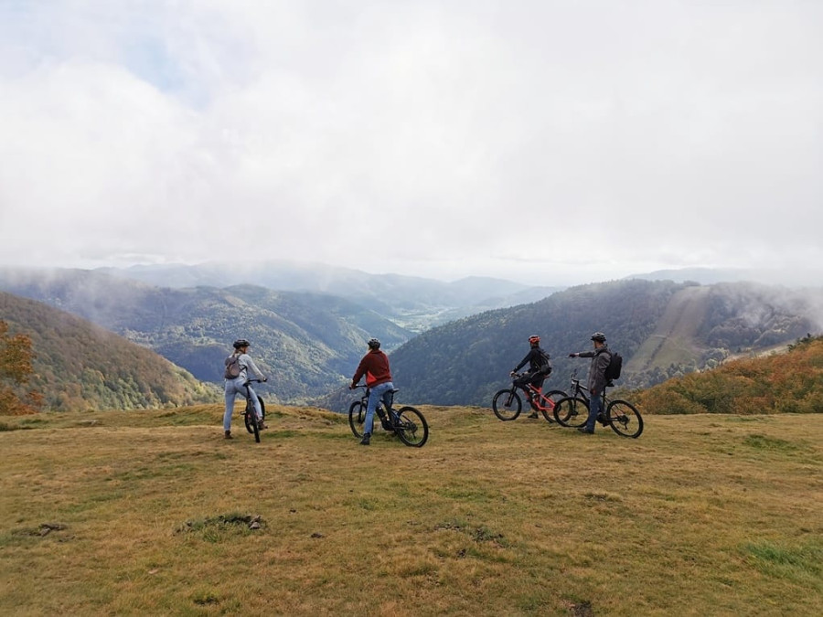 Activités dans les Vosges