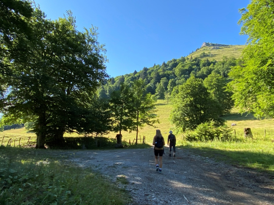 Randonnée au Tour de l'Aup