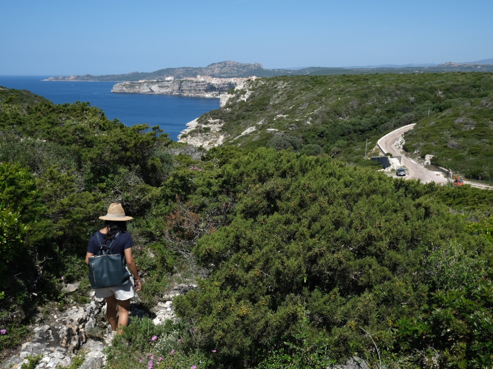 Se promener dans le maquis