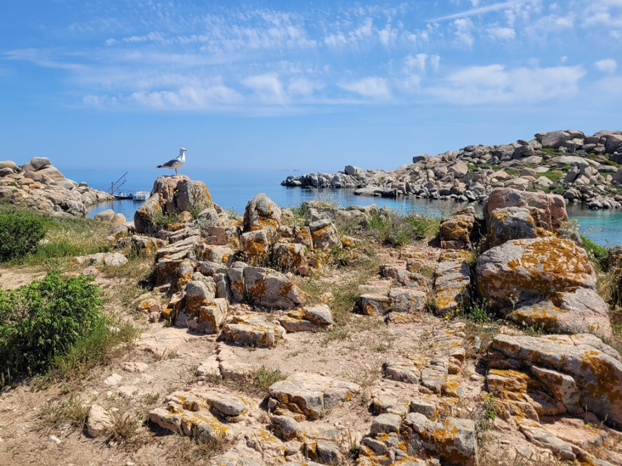 L'île de Lavezzi L'île de Lavezzi