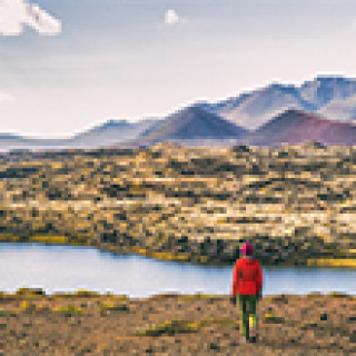 Image pour Nordic - Voyage nature Islande