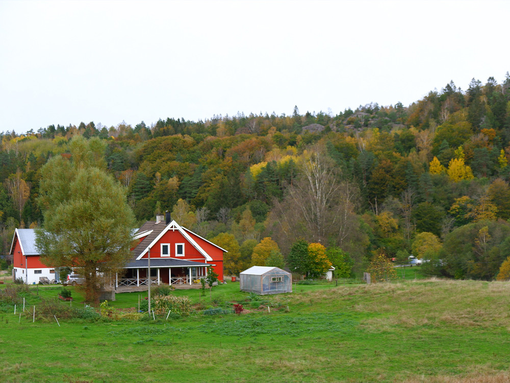 L'automne en Suède d l'ouest