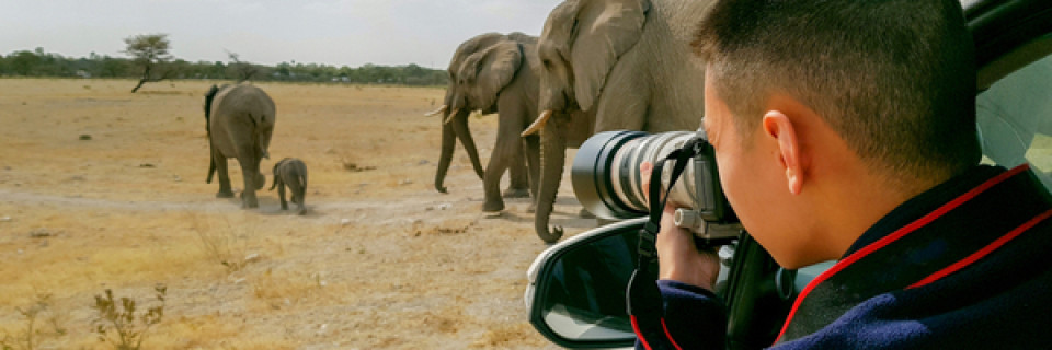 Top foto voor Pays lointains
