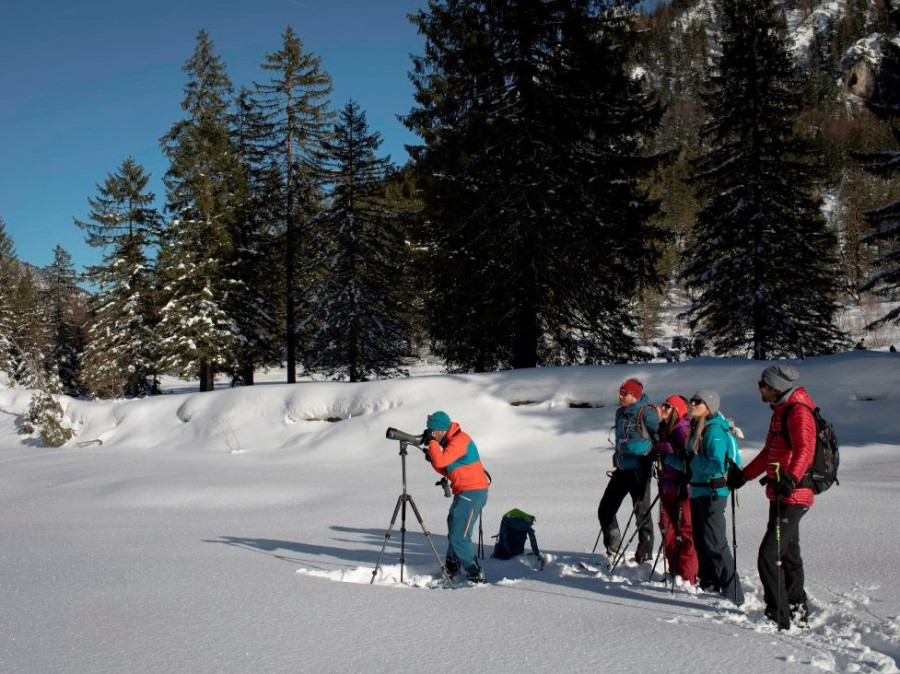 Randonnée hivernale Randonnée hivernale
