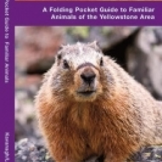 Image pour Guides Yellowstone