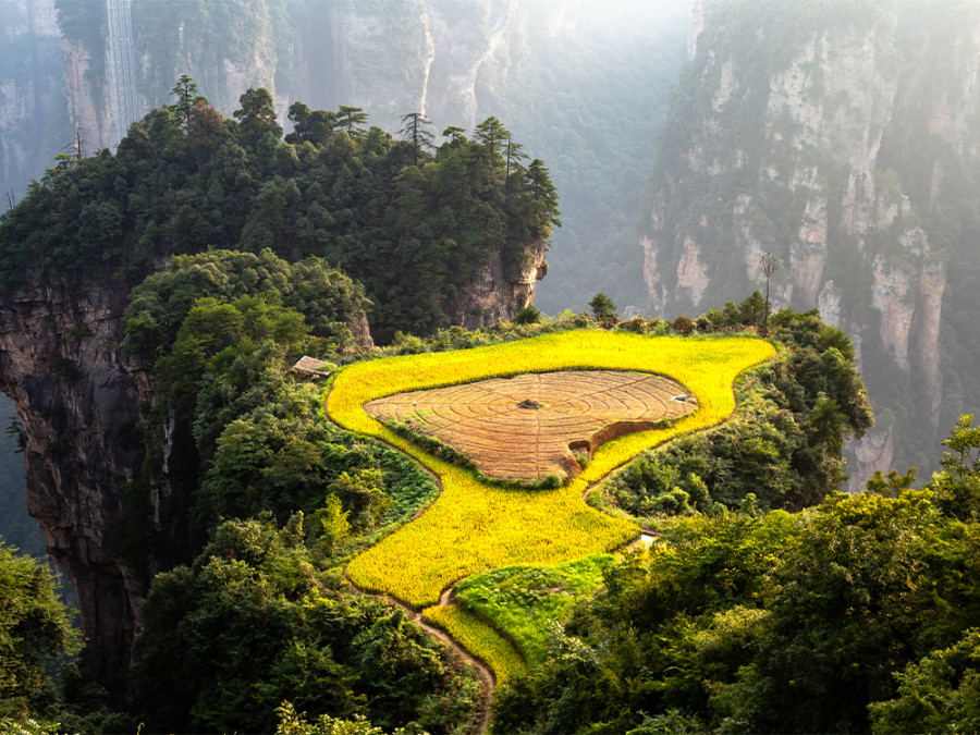 La nature en Chine