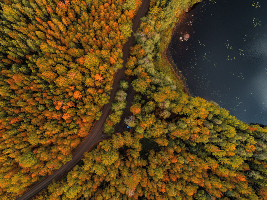Réserves naturelles en Scandinavie