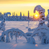 Image pour Scandinavie